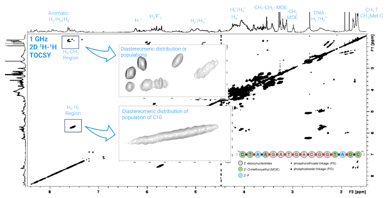 NMR characterization of oligonucleotides and peptides | Bruker