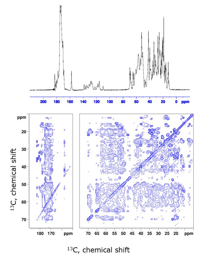 Prion proteins and fibril-forming proteins