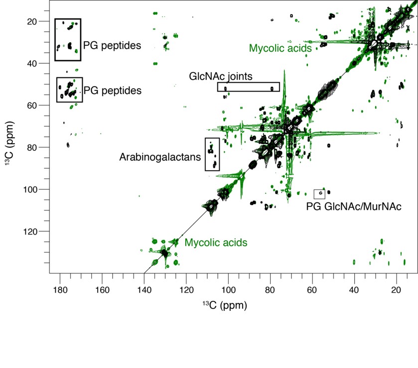 In-cell spectroscopy and membrane proteins