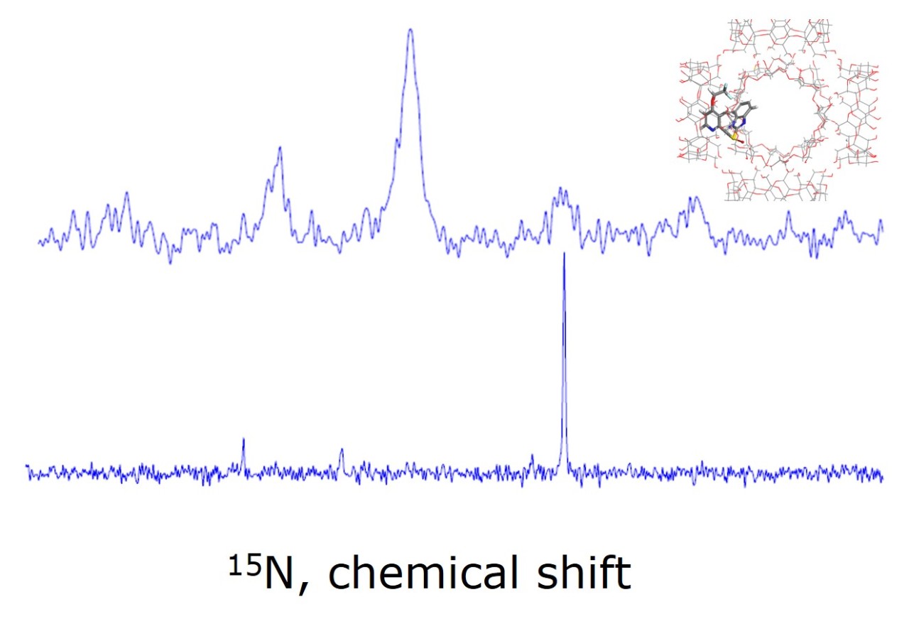 In-cell spectroscopy and membrane proteins