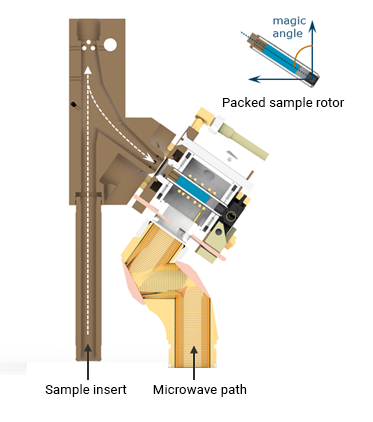 Close-up view of the upper part of an LT-MAS probe