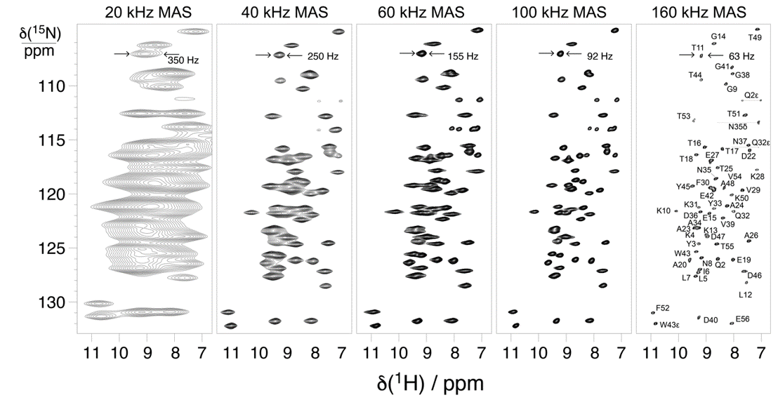 Figure 4: Proton detected CP-based 1H-15N correlation from a fully protonated solid biological sample (SH3 domain of chicken alpha-spectrin).