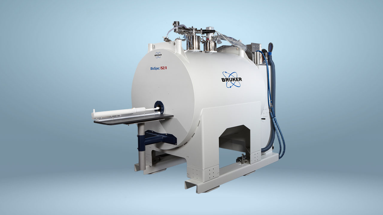 Ultra-High-Field MR Imaging | Solutions | Bruker