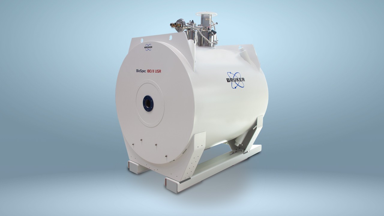 Ultra-High-Field MRI | Mouse Imaging | Bruker