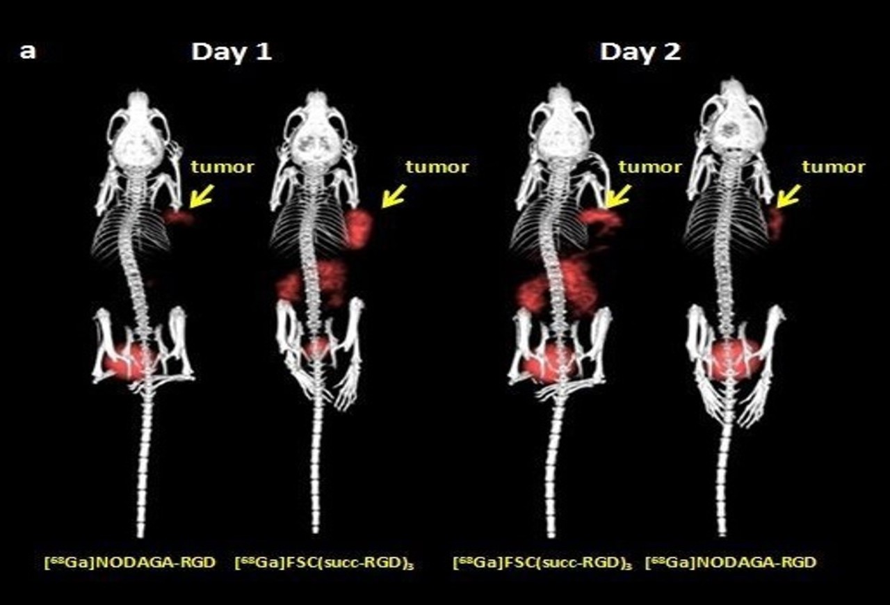 Tracer Comparison in Tumor Mice