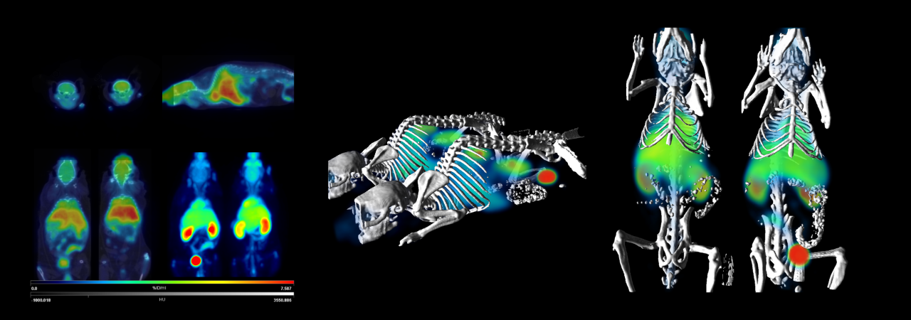 Multi-Mouse FDG/PET-CT (Left) Orthogonal Slices (Right) MIP, 3D Surface, 3D Volume. 10 min PET, 60 second CT