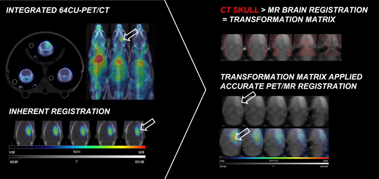 PET/CT | PET System | Preclincal CT | Total Body | Bruker