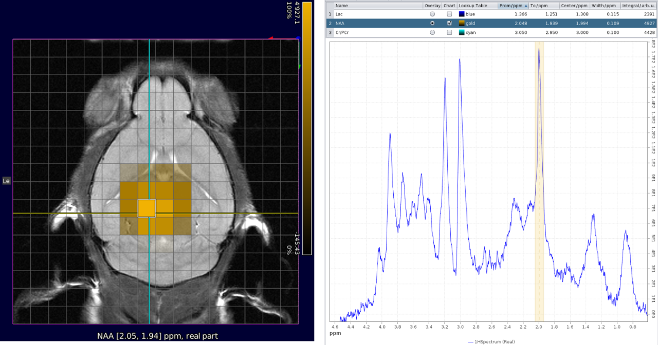 CSI with NAA frequency mapped