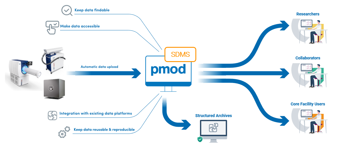 PMOD Quantification Software Bruker