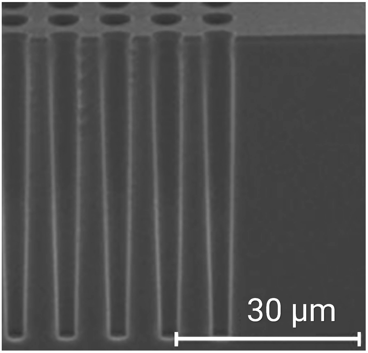 Scanning electron microscope image of high aspect ratio TSV structures, measurable with FilmTek 2000M TSV.