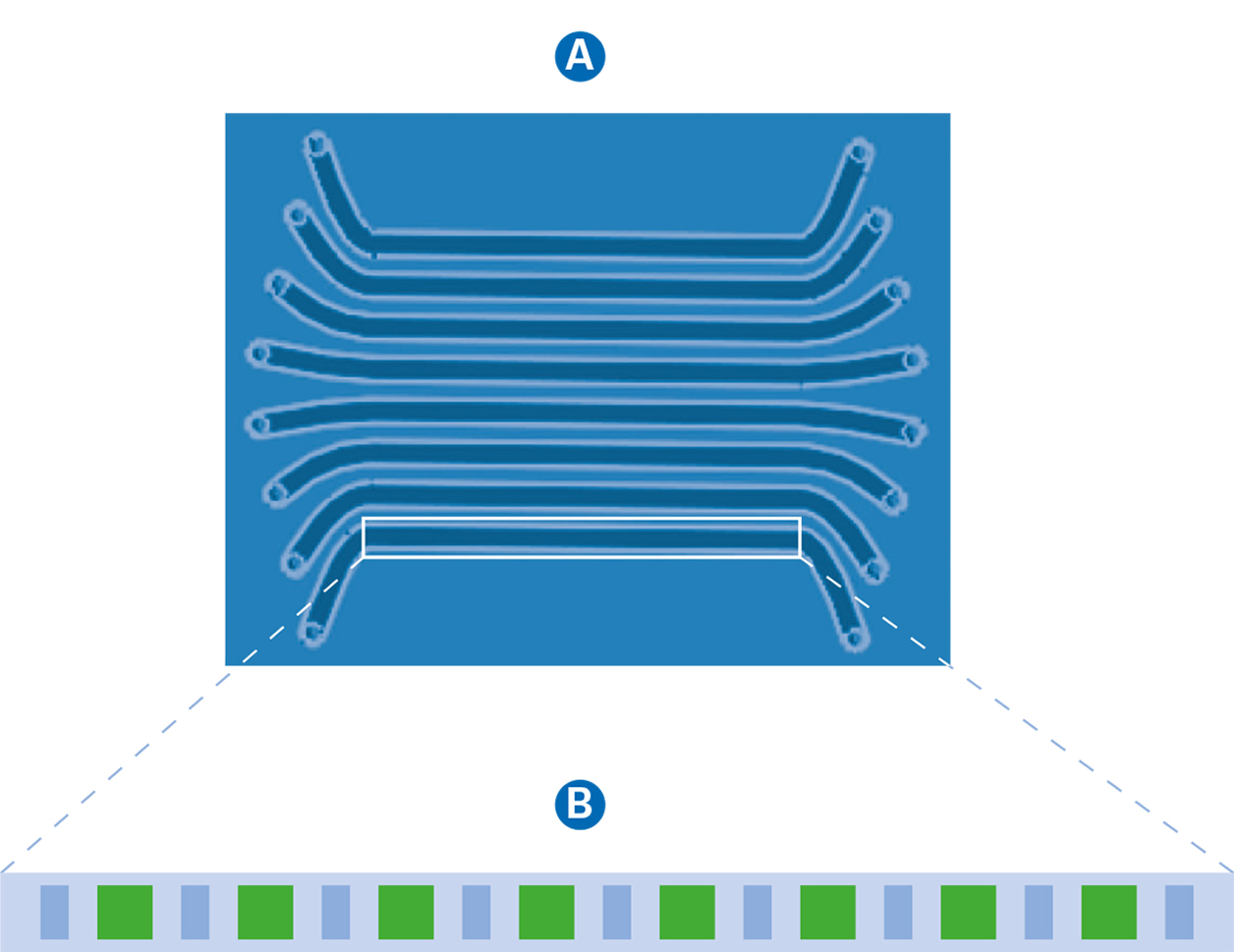 Microfluidic Design and Sensor spot location