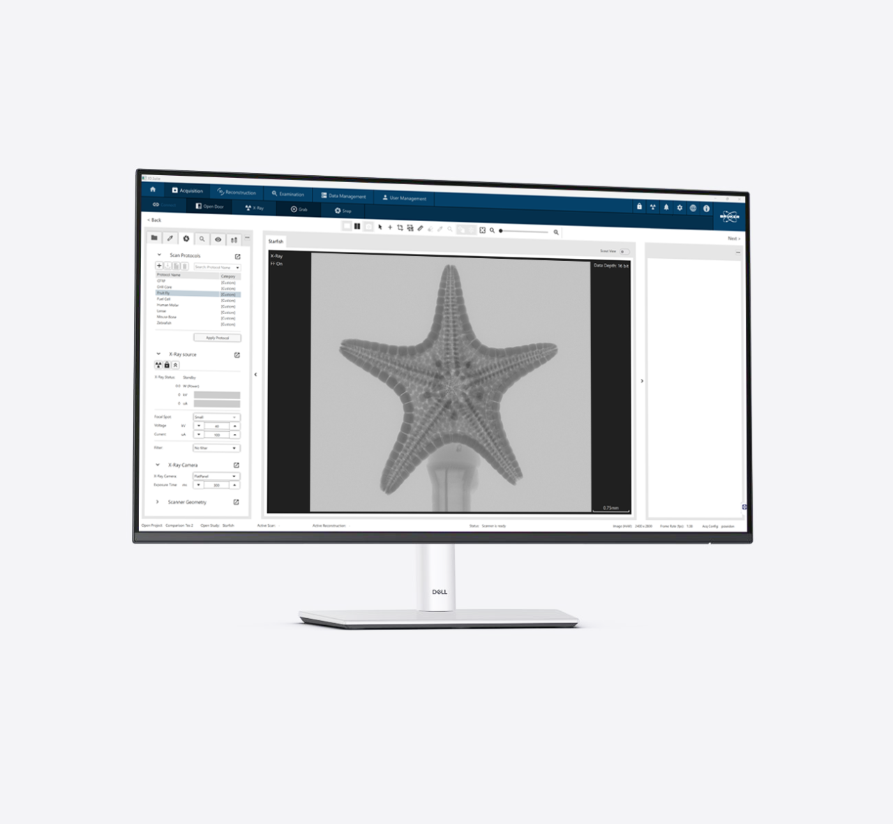 Image of a computer screen displaying 3DxSUITE software for micro-CT / 3D XRM. The software is processing a 3D X-ray image of a starfish as an example.