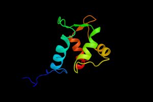 Membrane Protein