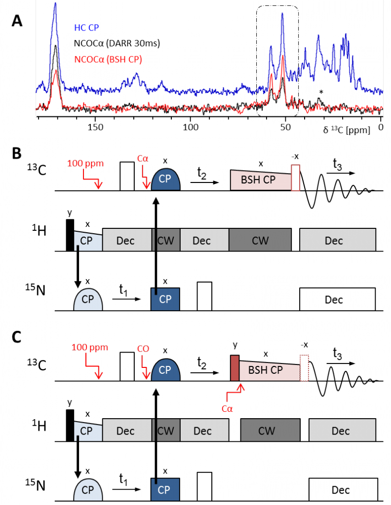 nmr backbone assignment