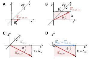 applied RF irradiation pulse