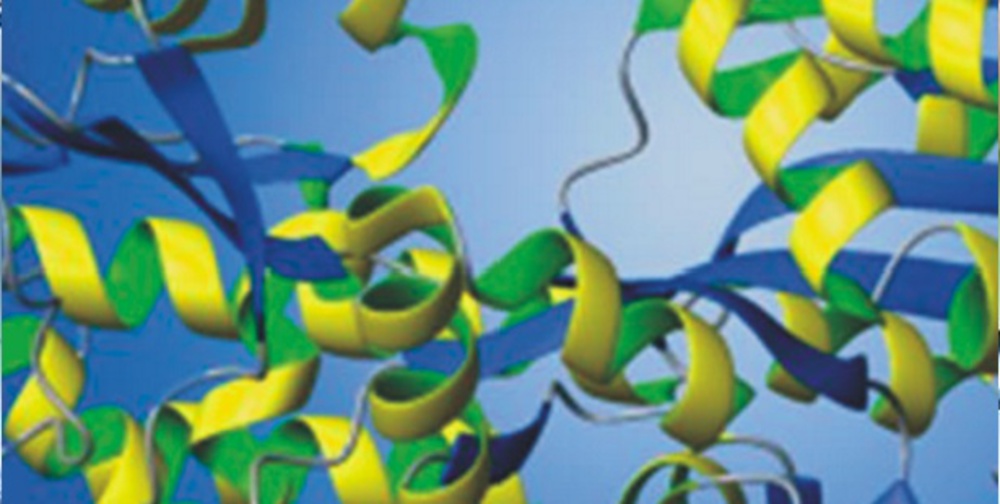 New solid state nmr method for protein backbone assignment | Bruker