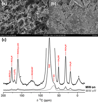 Surface Chemistry DNP