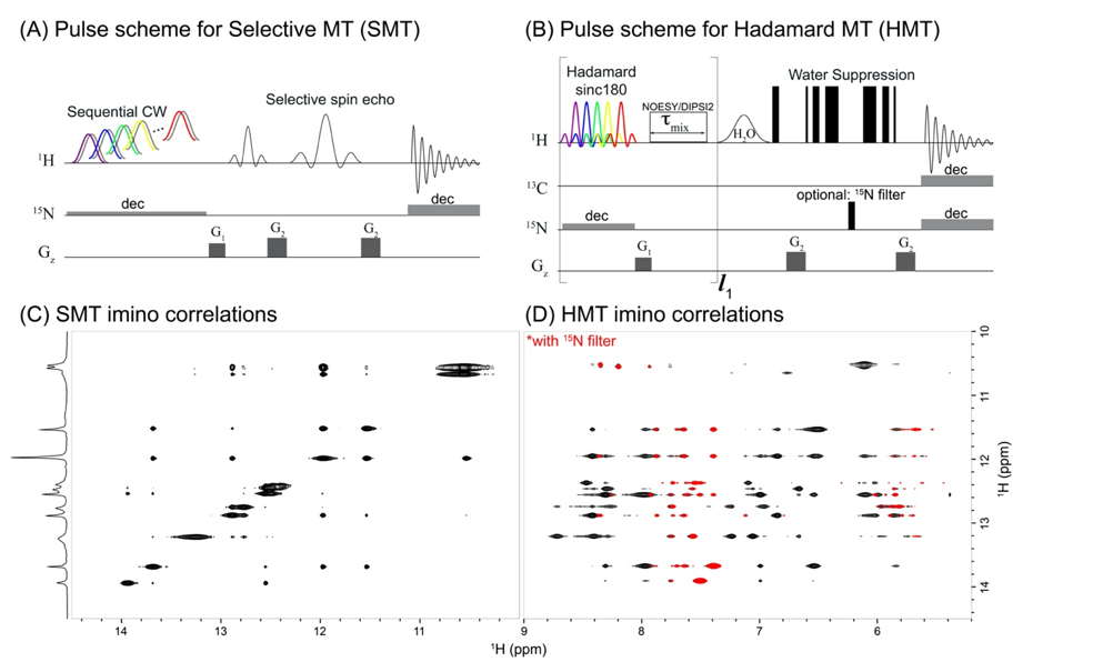 New in Bruker User Library a Family of Experiments for Fast