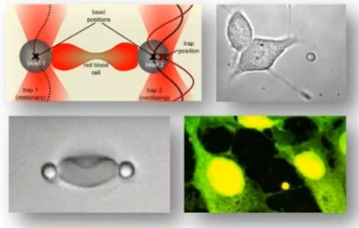 The Nobel Prize-Winning Technology | Bruker