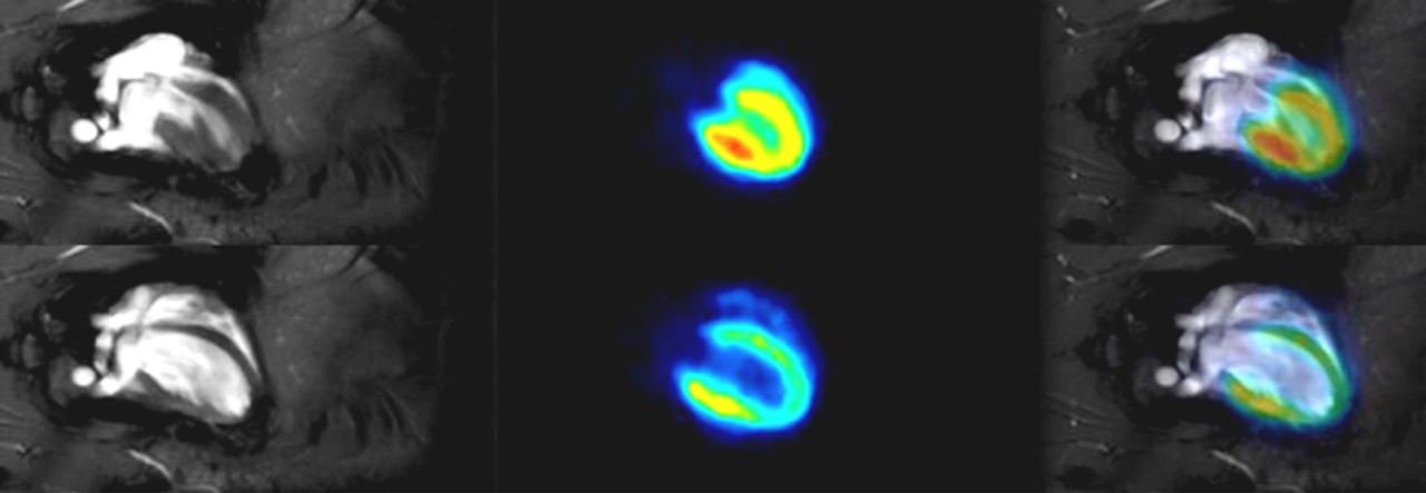Cardiac PET/MR Imaging in Small Rodents