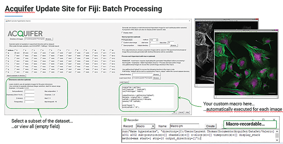 Image shows the Bruker Acquifer Fiji Update site, a toolbox for image processing, visualization, and batch analysis.