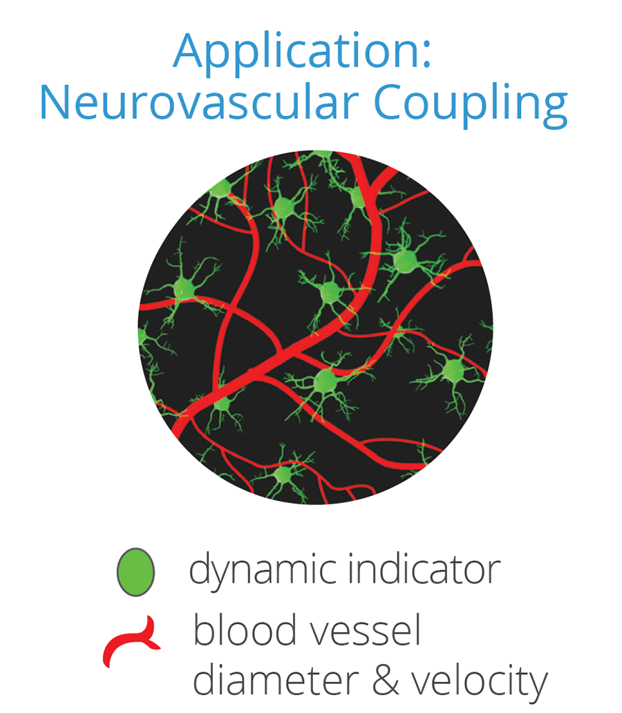 Niteworks Blood Flow Example Application Note: Measuring Simultaneous Neural Activity and Blood Flow ...