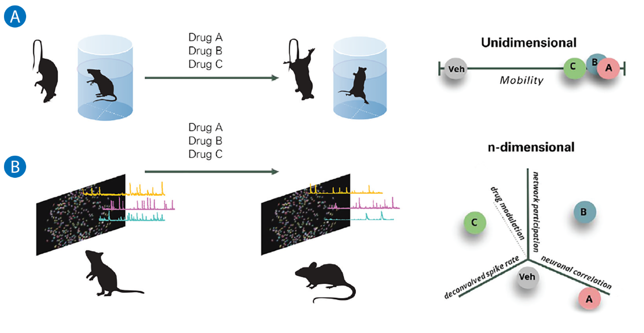 Case Study: Comparative Drug Profiling for Preclinical Development in ...