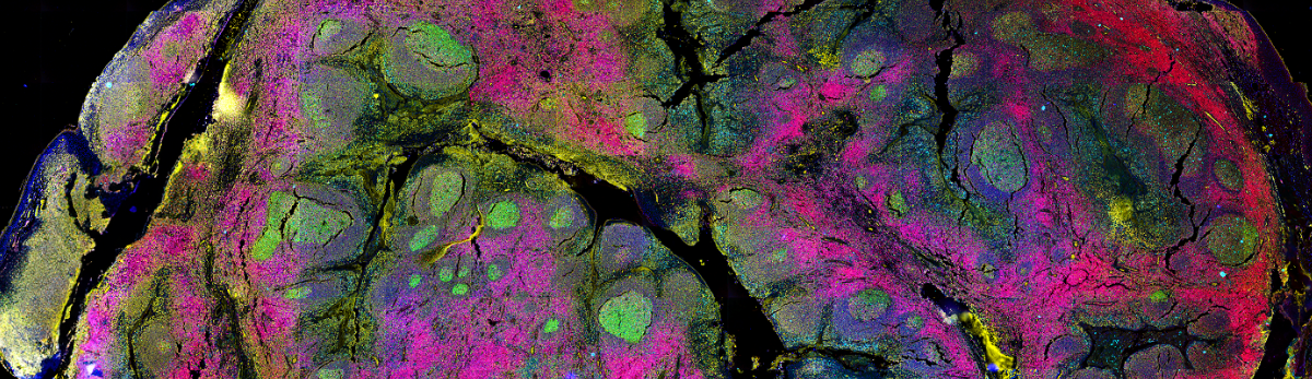 Spatial-omics instrumentation for omics studies in cells and tissues