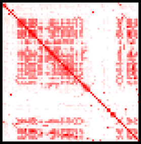 Genomics - ORCA contact frequency map