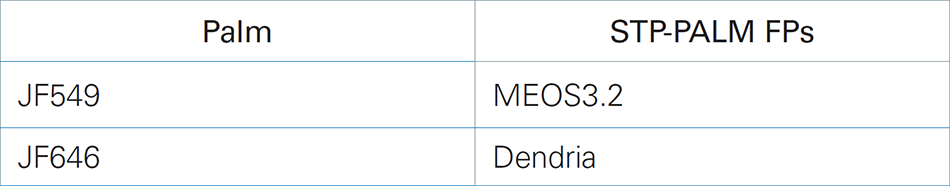 TABLE 2. JF Dyes for PALM and SPT-PALM