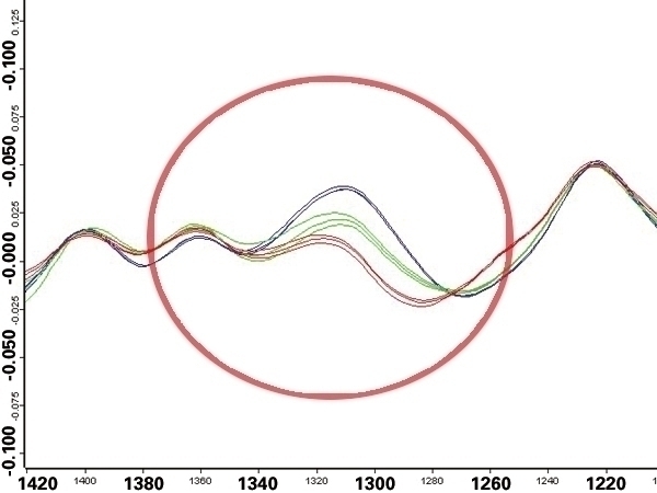 Software DE captura de pantalla OPUS: determinación de espectros de ácido rosmarinico en células de lavanda cultivadas.