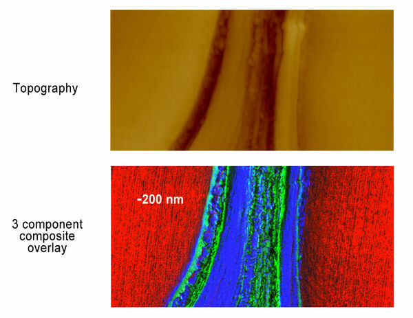 nanoIR - Resonancia de contacto lorentz de las paredes celulares de madera
