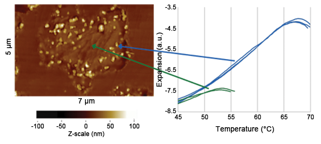 Análisis térmico a nanoescala (nanoTA) 