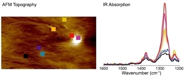 nanoIR - Polímero biorrenuevosable