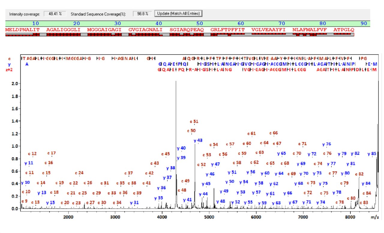 rapifleX Verification