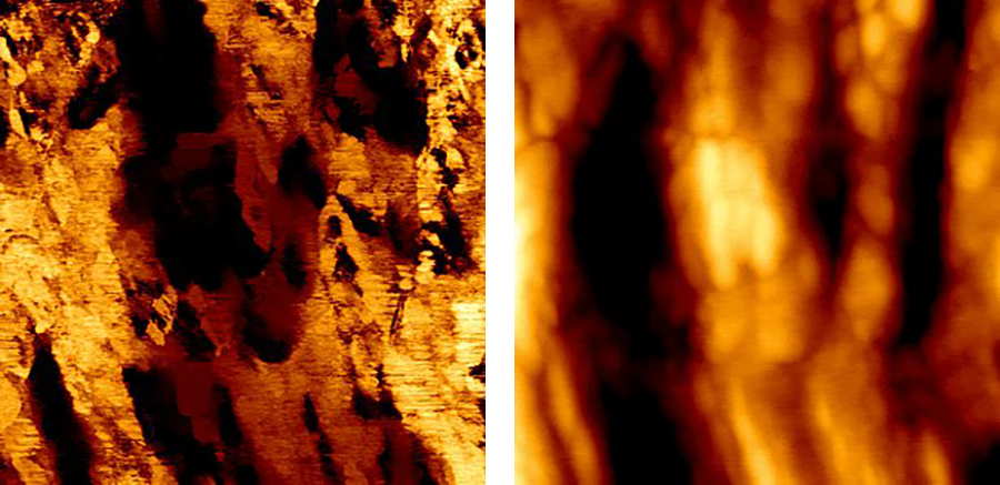 AFM conductivity landscape and height image of a graphite-clay blend