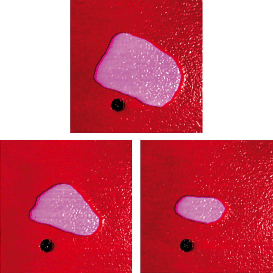 AFM images of melting processes of lipid domains
