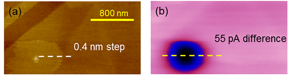 PeakForce SECM topography and electrochemistry images of HOPG sample, highlighting nanoscale surface and electrochemical activity.