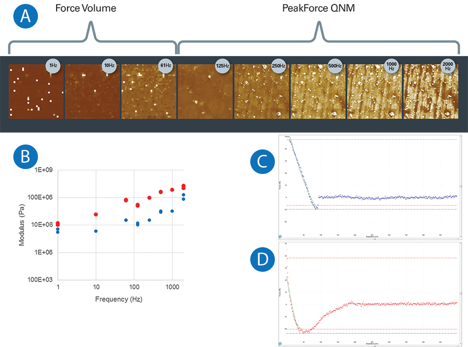 Force volume and PeakForce QNM images of PVC at varied frequencies with modulus plots and DMT fits on approach and retract curves.