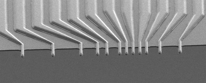 SEM image of CIPT probes