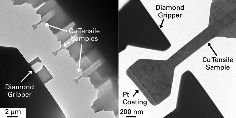 TEM image displaying FIB-milled copper dogbone specimens with a custom gripper.