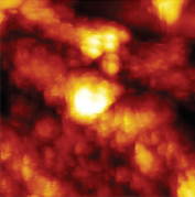 Observing Li-dendrite growth in-situ