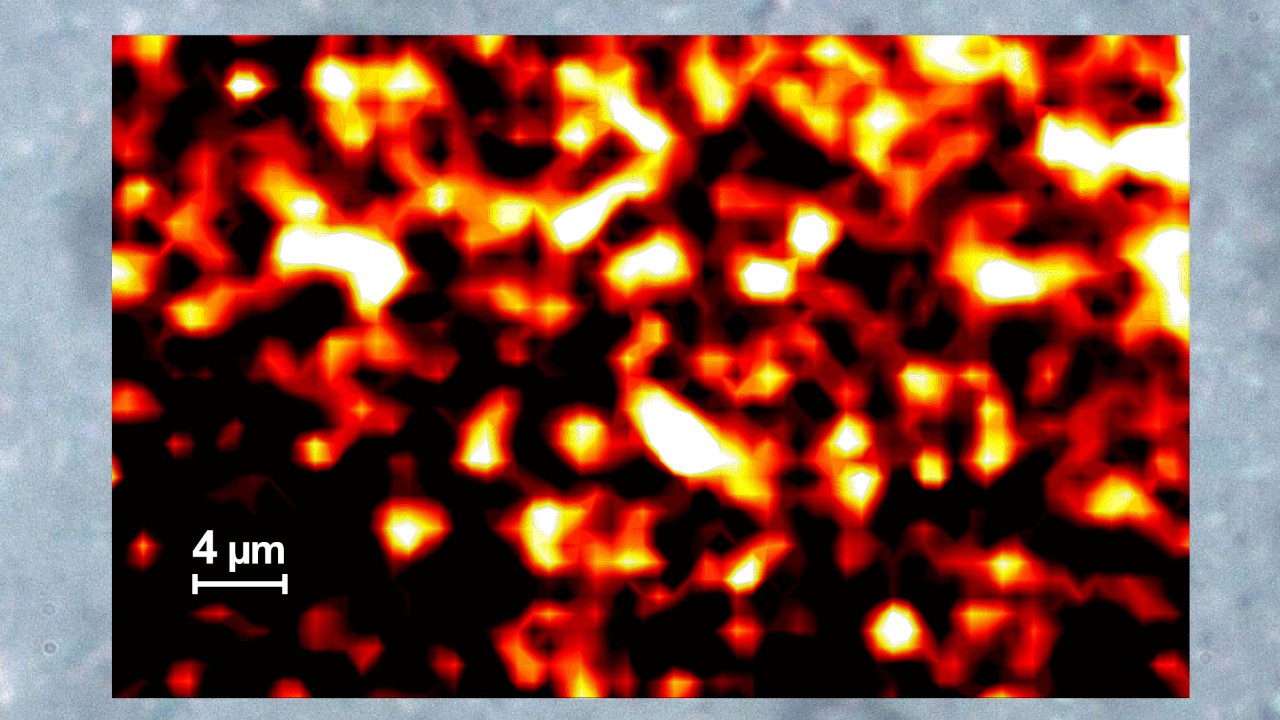 A heatmap of flame retardant distribution within a polymer matrix. The Brighter the color, the higher the concentration of melamine cyanurate.