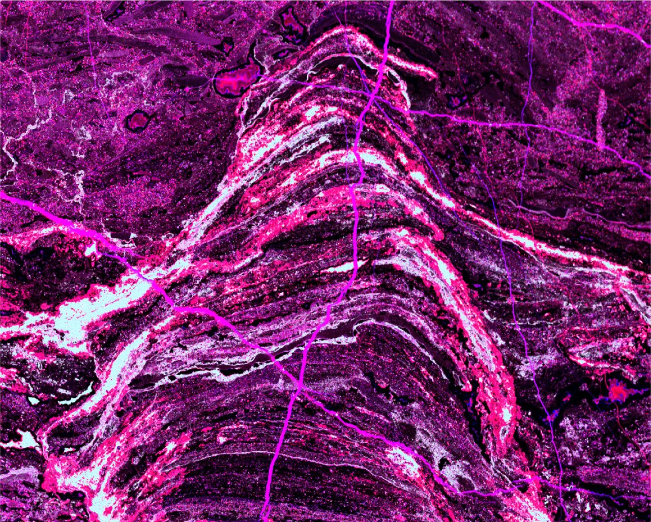 M4 TORNADO µXRF map of a c. 3.0 Ga stromatolite; field of view is 60 cm across