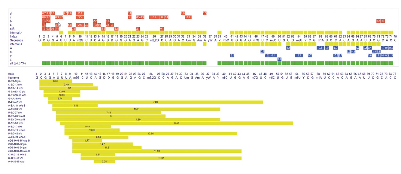 OligoQuest interface displays 3’- and 5’-terminal and internal fragment matches for sequence confirmation