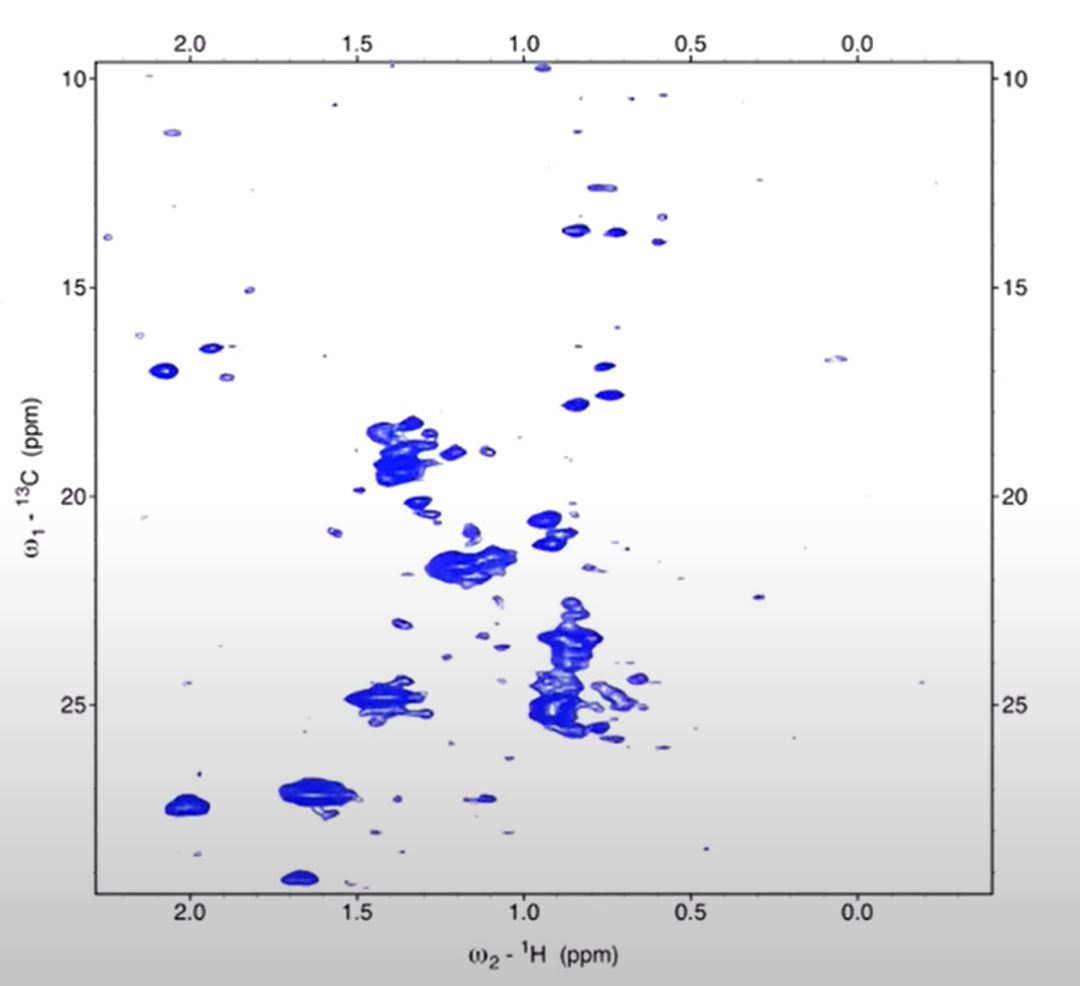 XL-Alsofast NMR data of partially disordered SARS-CoV-2 N protein, acquired at 1.2 GHz