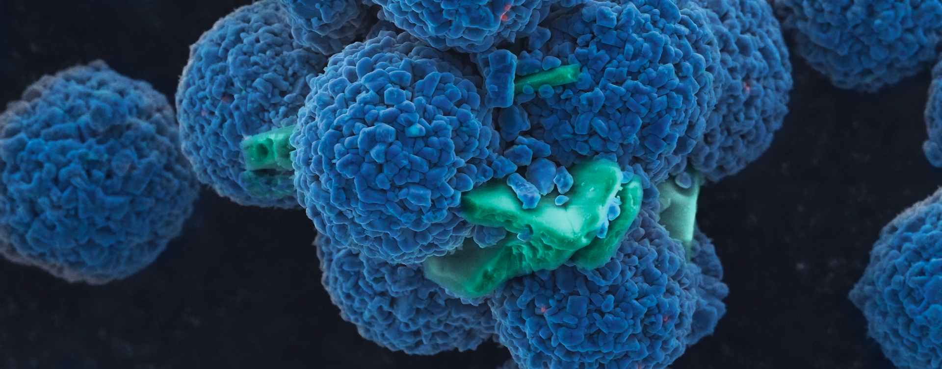 探索电子显微镜元素分析的极限