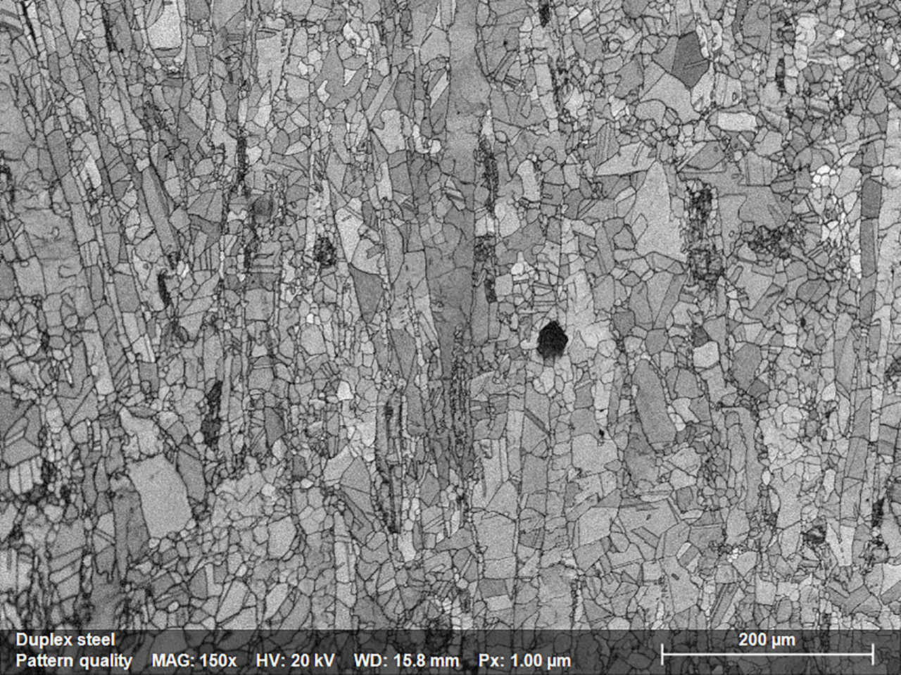 Fig. 1.1: Pattern Quality Map depicting the microstructure of a stainless steel sample; map was acquired using e-Flash XS EBSD detector mounted on JSM IT200 SEM.