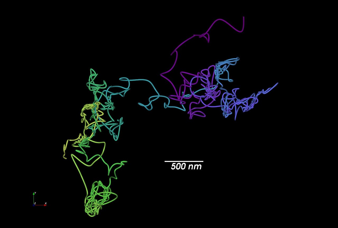 Live Cell Imaging