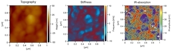 nanoIR - Complexe de récolte de lumière II